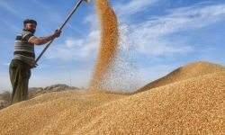 العراق يعلن قرب الاكتفاء الذاتي من الحنطة